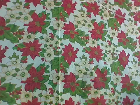 Sassy_Erika live sex cam