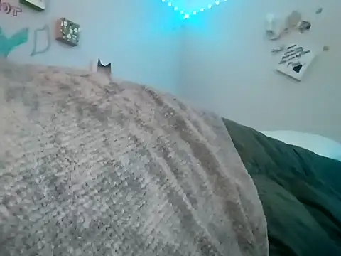 TheRealMrDLlong live sex cam