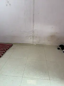 mujraboii live sex cam