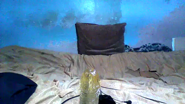 little__joy live sex cam