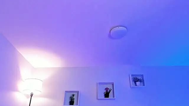 Victoria_Rose_'s cam snapshot