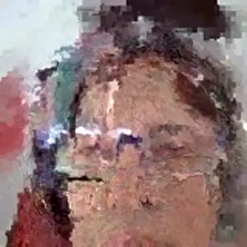 flymyrya123's cam snapshot