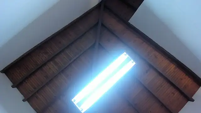 Megan_foro live sex cam