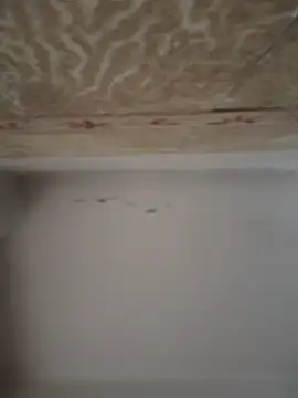 SecretlyDD live sex cam