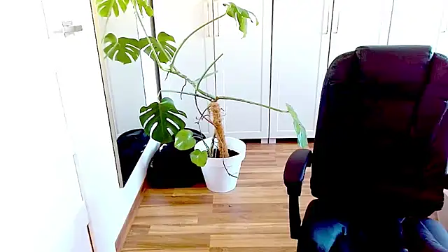 teaseDiana's cam snapshot