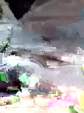 Dam70's cam snapshot