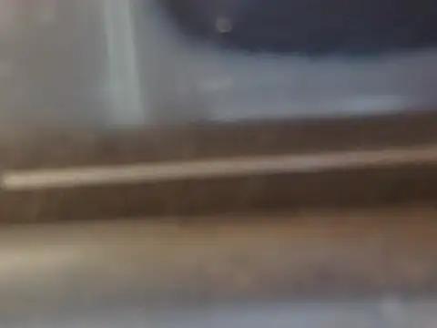 crazypervet live sex cam