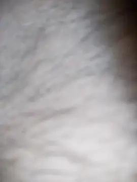 Rafi_boy live sex cam