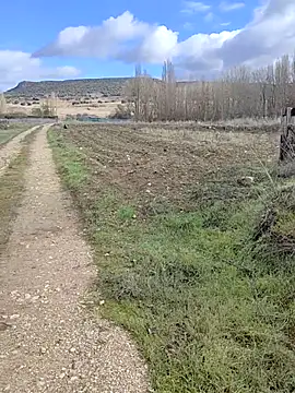 MachosBB_sex live sex cam