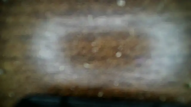 8point5guy live sex cam