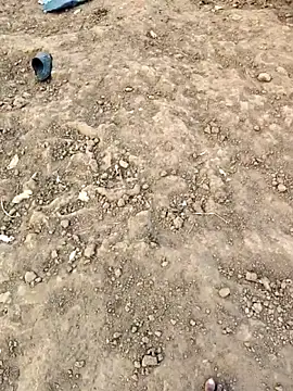 desi_alpha_boy's cam snapshot