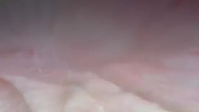 s-te-fan-i's cam snapshot