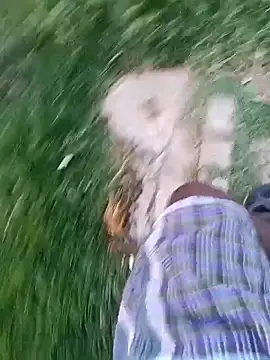 dolphiinn live sex cam