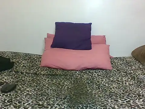 Cessylolla's cam snapshot