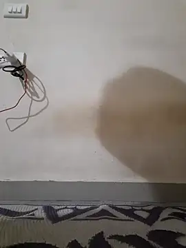 piedic's cam snapshot