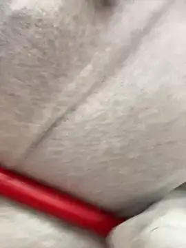 sweetsirenn's cam snapshot