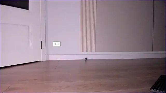 jin__ray's cam snapshot