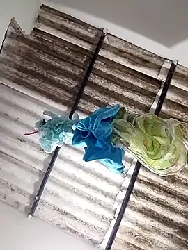 anitotori's cam snapshot