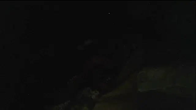 hebe-02's cam snapshot