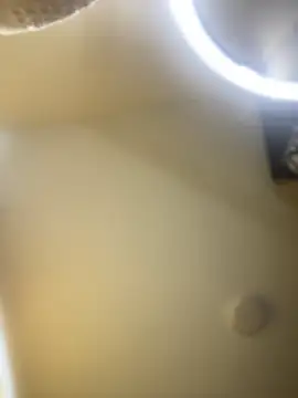 baby_lizy's cam snapshot