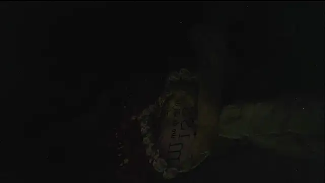 hebe-02's cam snapshot