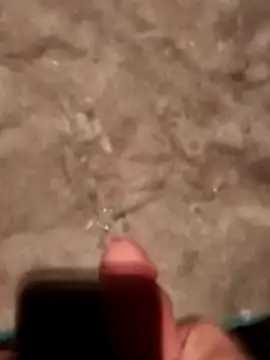 legaros's cam snapshot