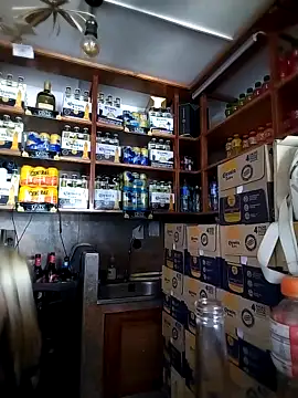 catalella16 live sex cam