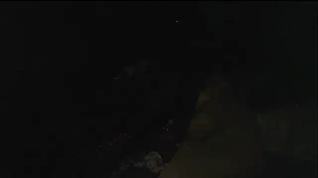 hebe-02 live sex cam