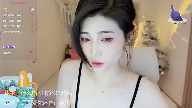 Vaidurya-Yolo's cam snapshot