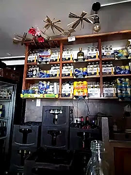 catalella16's cam snapshot