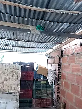 hoteder live sex cam