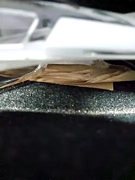 Roddog18 live sex cam