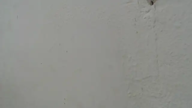 samanta_lopez's cam snapshot