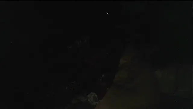 hebe-02 live sex cam