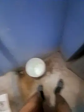 tharki-anand's cam snapshot