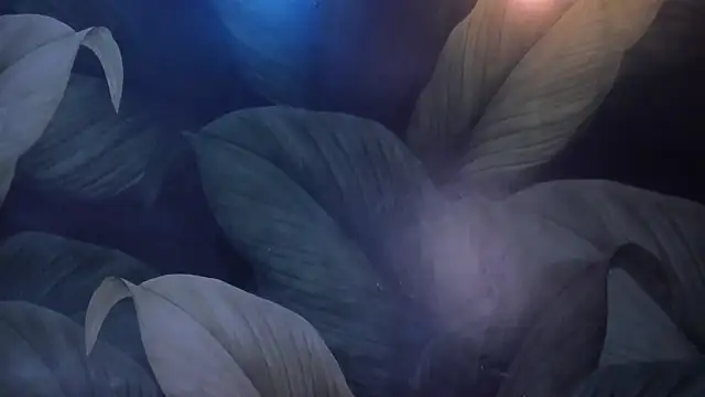 sweett_dirty's cam snapshot