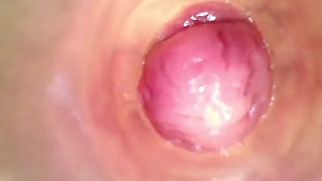 shannon_kinne_'s cam snapshot