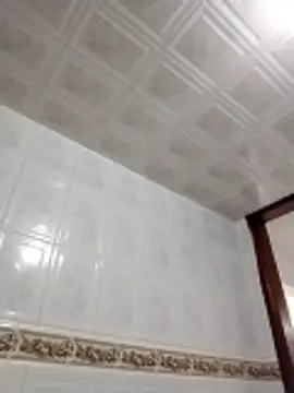 Macarenafun's cam snapshot