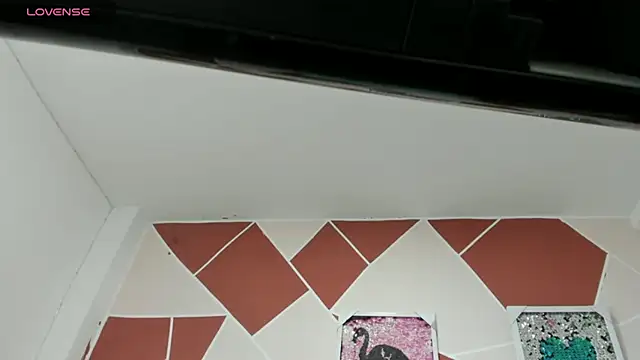 cami_venus_atm's cam snapshot