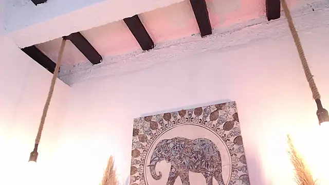 Doll4anall live sex cam