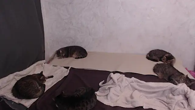 Olivia_Winston's cam snapshot