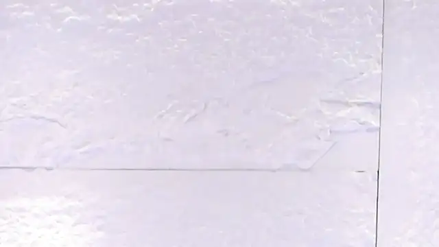 sarah_salis_ live sex cam