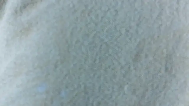 hotlatinateacher's cam snapshot