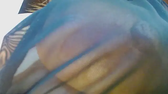 wandarubio live sex cam