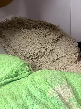 kamila-wc live sex cam