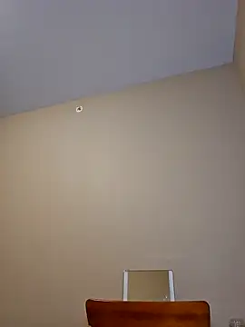 AmethystFoxx's cam snapshot