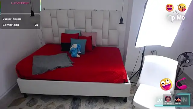 michel_rous_'s cam snapshot