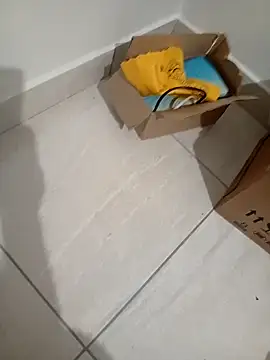 safado_brazil40's cam snapshot