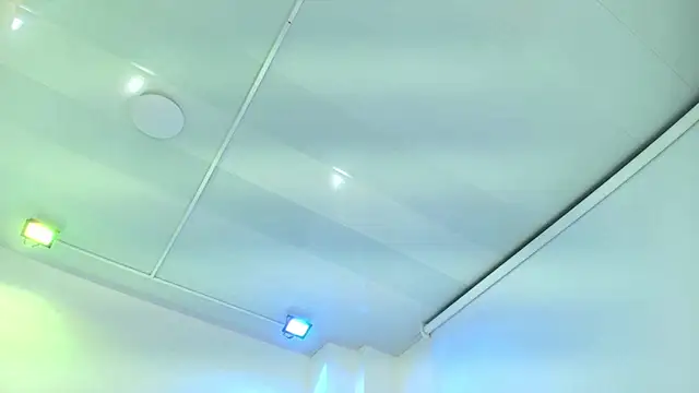 Gabriela_milani's cam snapshot