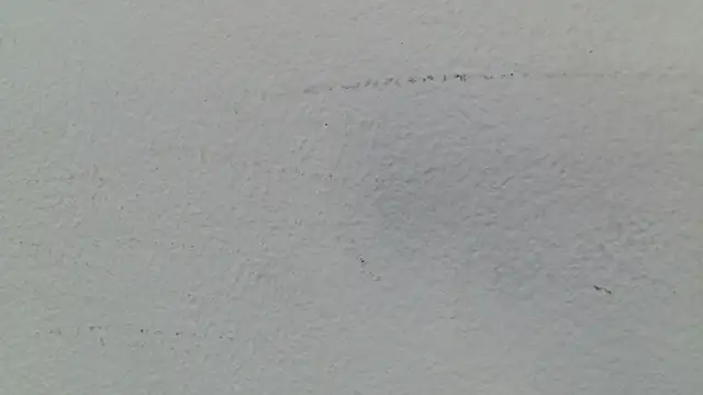 Luna_Noire1's cam snapshot